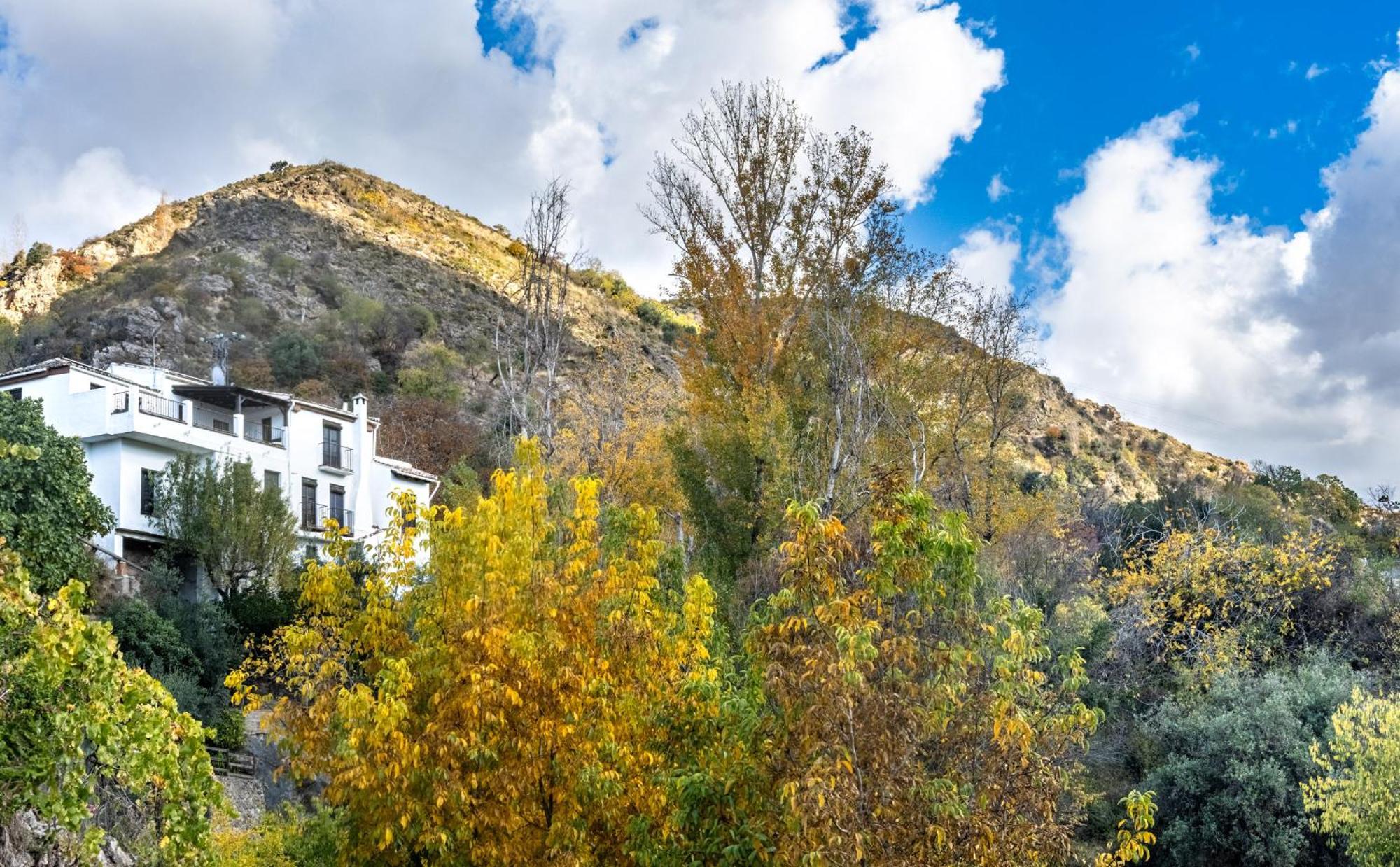 Casa Rural Arroyo De La Greda Guejar Sierra Buitenkant foto