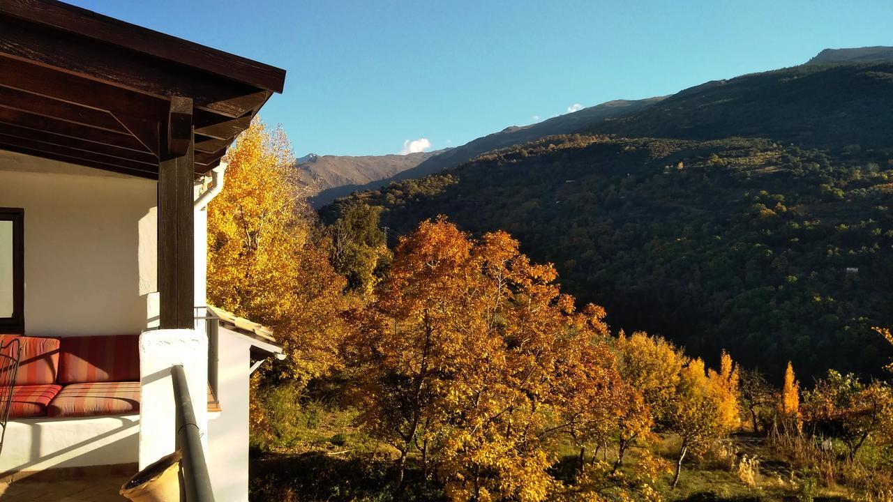 Casa Rural Arroyo De La Greda Guejar Sierra Buitenkant foto